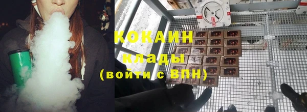 гидра Алексин