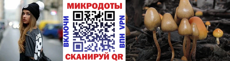 Галлюциногенные грибы мухоморы  Хотьково 